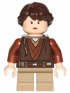 sw517